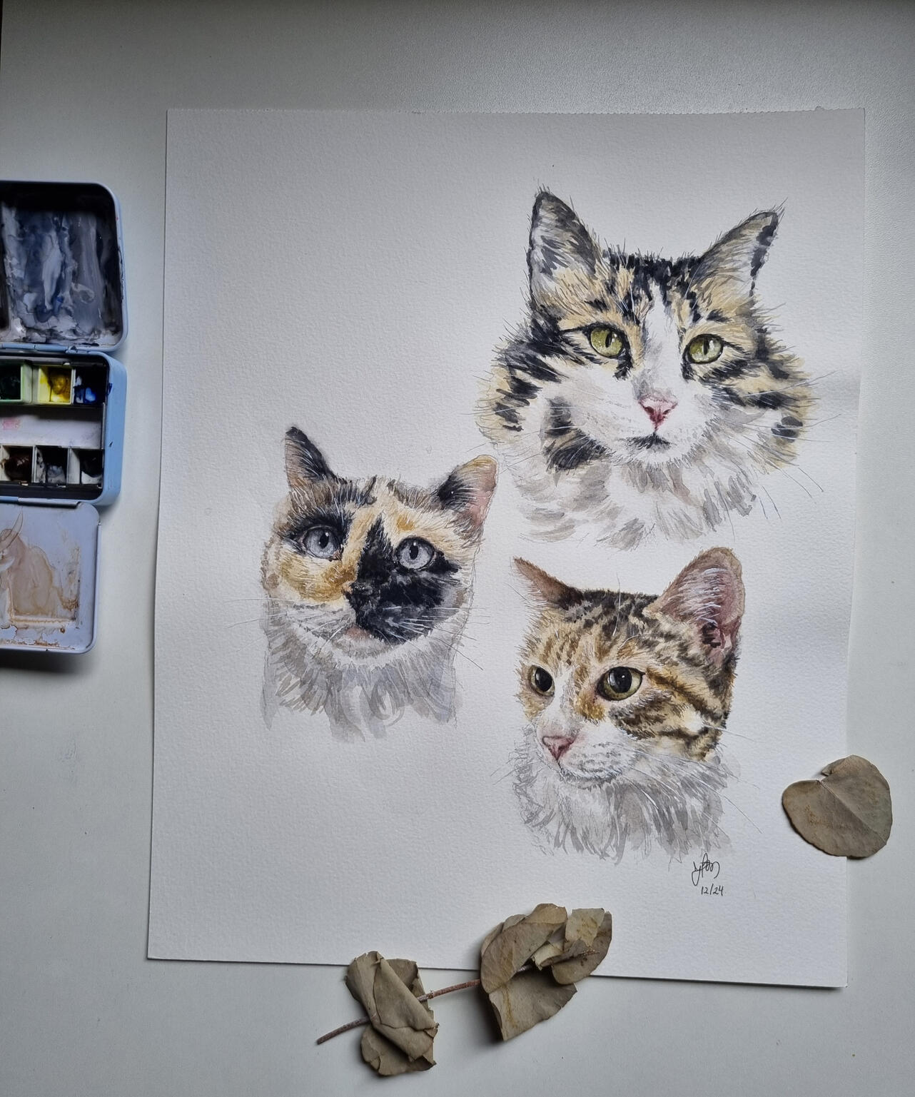 presente de aquarela pet de gatos calico, tabby, tricolor e malhado memorial presente de aquarela pet de gatos calico, tabby, tricolor e malhado memorial
