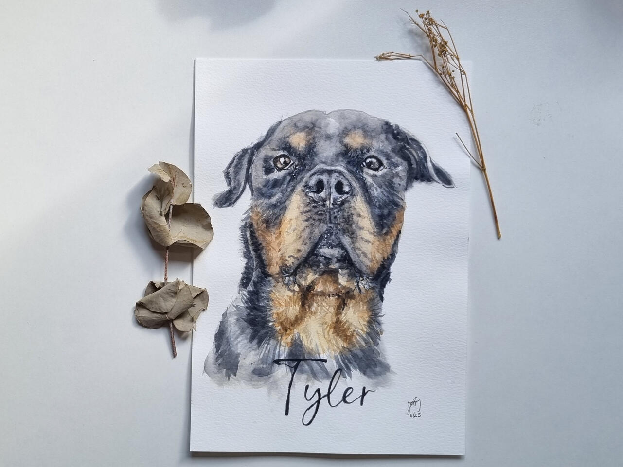 Aquarela personalizada de cachorro rottweiler pintada à mão Aquarela personalizada de cachorro rottweiler pintada à mão