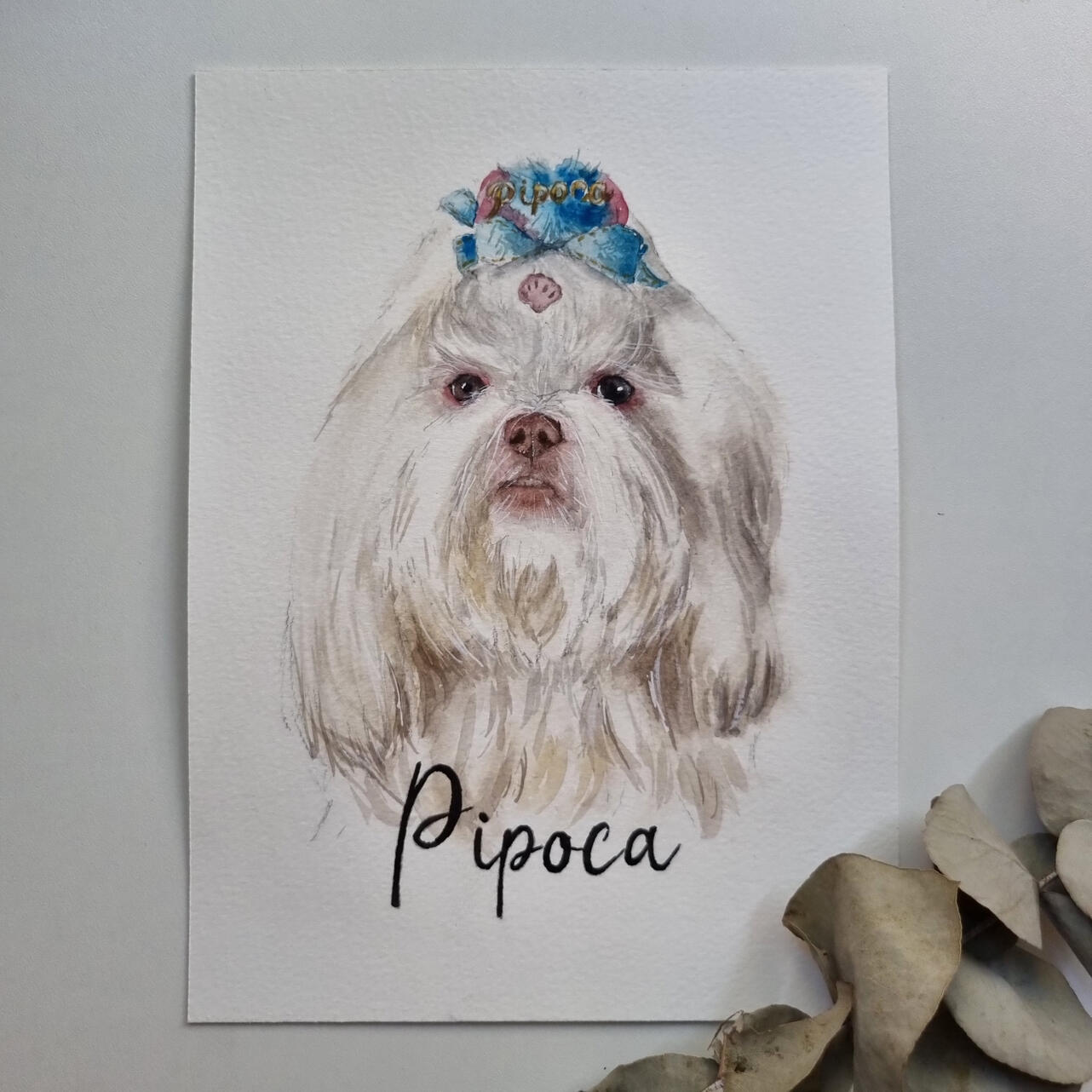 presente de aquarela pet de Shih-tzu Shih tzu memorial presente de aquarela pet de Shih-tzu Shih tzu memorial