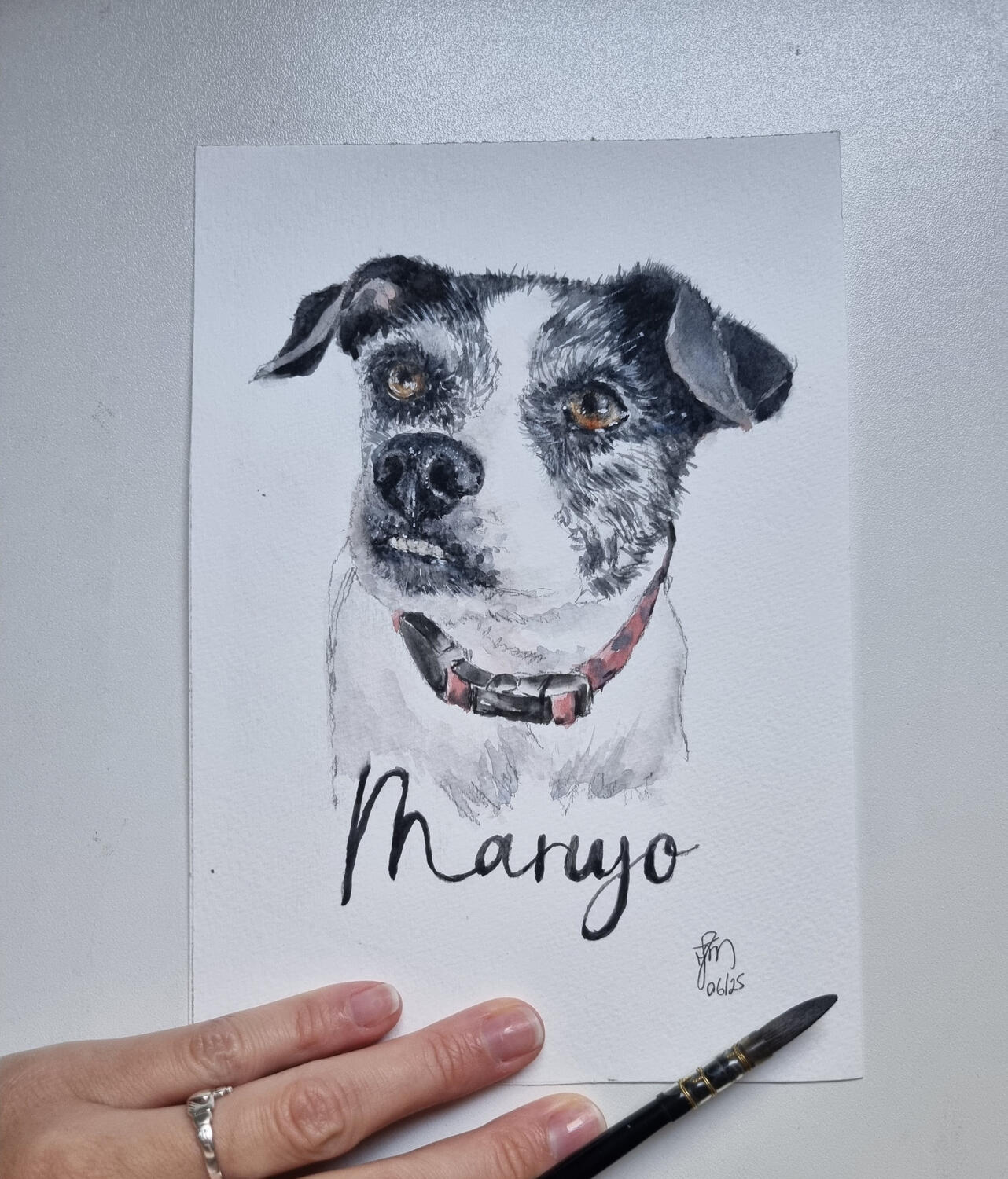 presente aquarela pet de cachorro SRD presente aquarela pet de cachorro SRD