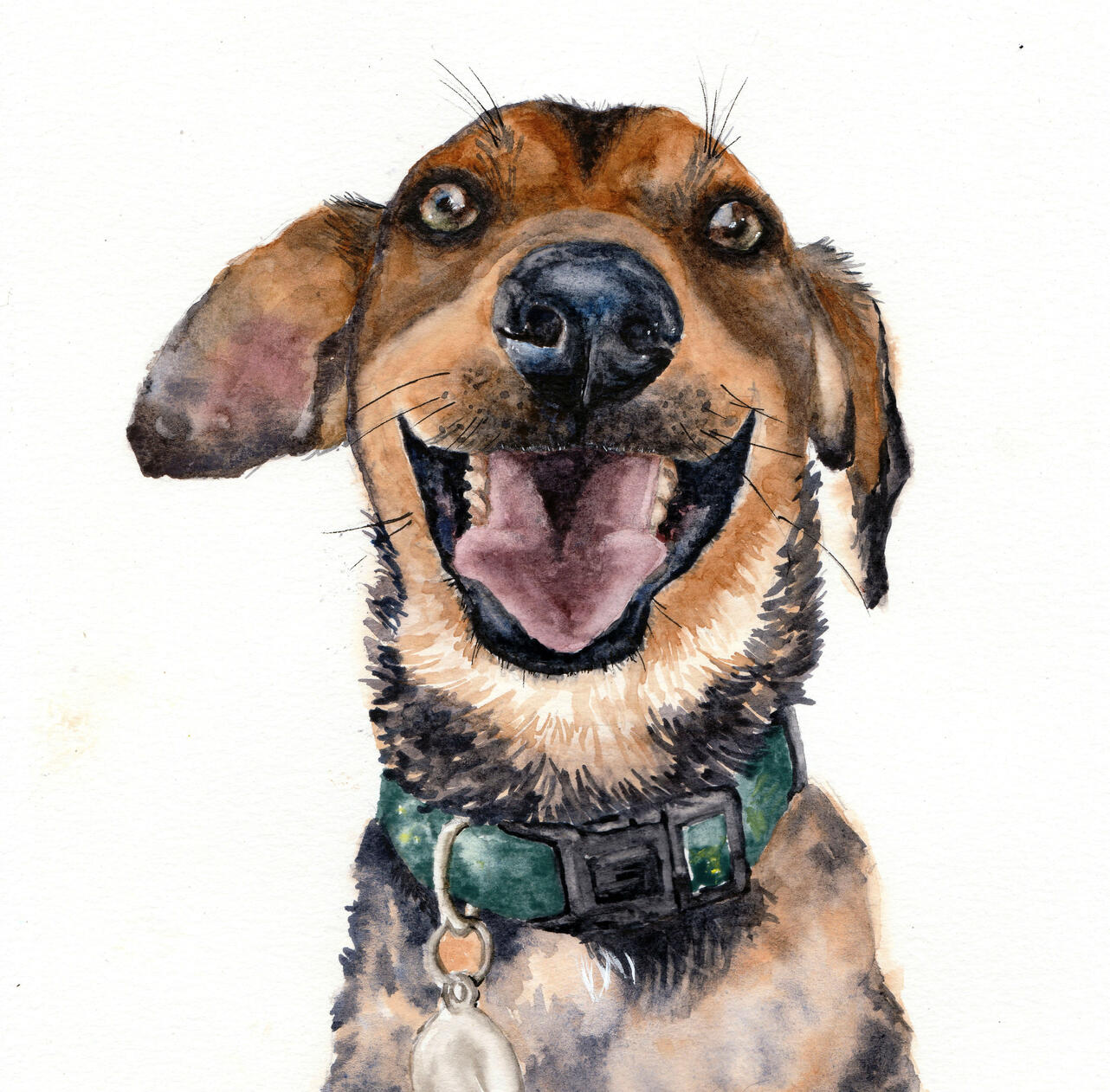 presente aquarela pet de cachorro SRD presente aquarela pet de cachorro vira lata